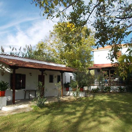 Villa Mina Potistika Exterior photo